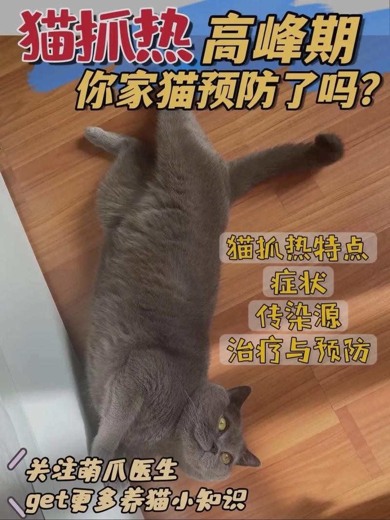 猫抓热,猫抓热会自愈吗-第6张图片 猫抓热,猫抓热会自愈吗-第6张图片