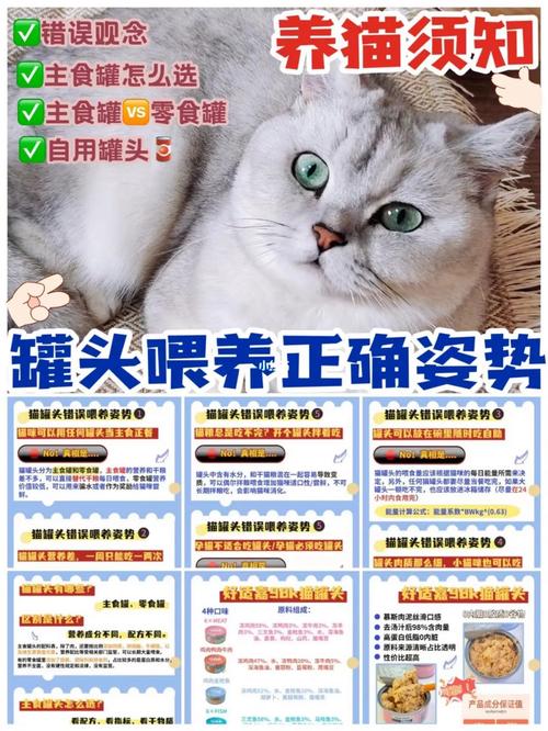猫咪罐头多久吃一次/猫罐头多长时间吃一次