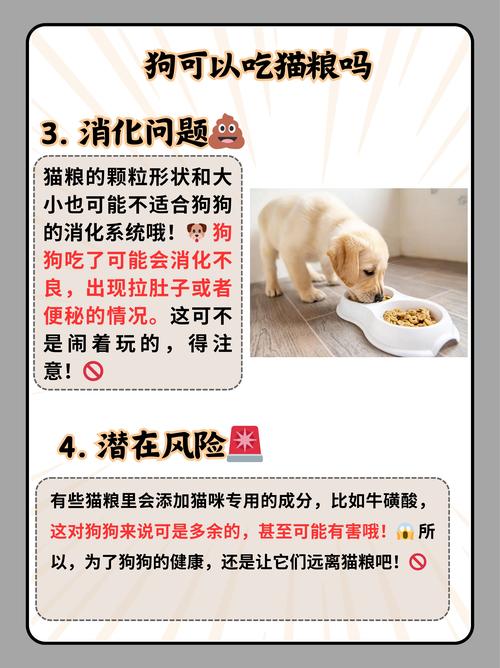 猫粮狗狗可以吃吗/猫粮狗狗可以吃吗有营养吗-第1张图片 猫粮狗狗可以吃吗/猫粮狗狗可以吃吗有营养吗-第1张图片