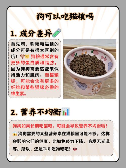 猫粮狗狗可以吃吗/猫粮狗狗可以吃吗有营养吗-第5张图片 猫粮狗狗可以吃吗/猫粮狗狗可以吃吗有营养吗-第5张图片