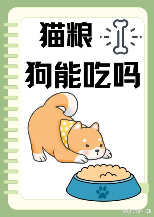 猫粮狗狗可以吃吗/猫粮狗狗可以吃吗有营养吗-第6张图片 猫粮狗狗可以吃吗/猫粮狗狗可以吃吗有营养吗-第6张图片