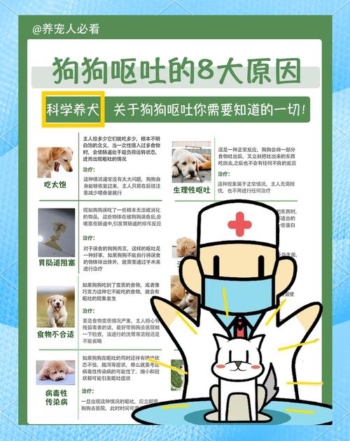 狗狗呕吐是什么原因/狗狗呕吐是什么原因吃什么药-第4张图片 狗狗呕吐是什么原因/狗狗呕吐是什么原因吃什么药-第4张图片