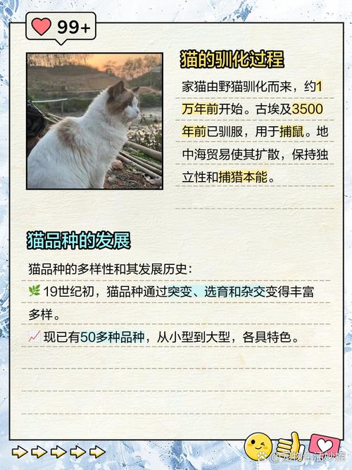 猫的进化过程/猫的进化过程是什么-第1张图片 猫的进化过程/猫的进化过程是什么-第1张图片