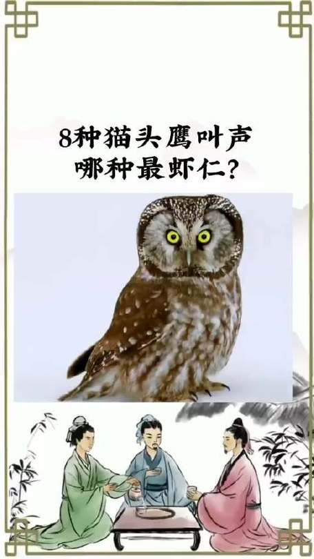 解析“猫头鹰寓意”你不知道的事-第6张图片 解析“猫头鹰寓意”你不知道的事-第6张图片