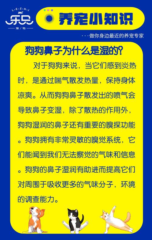 解析“狗狗鼻子很湿怎么回事”你不知道的事-第6张图片 解析“狗狗鼻子很湿怎么回事”你不知道的事-第6张图片