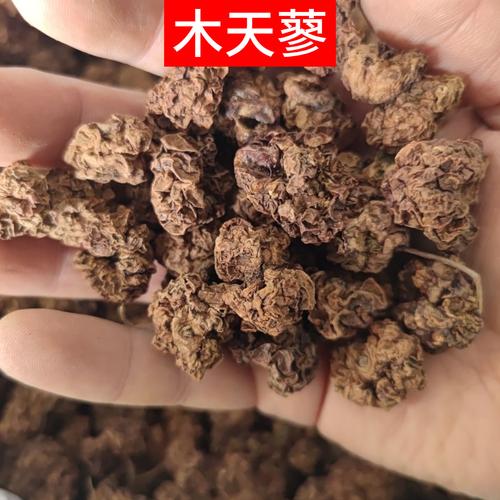 木天蓼,木天蓼和猫薄荷的区别-第4张图片 木天蓼,木天蓼和猫薄荷的区别-第4张图片