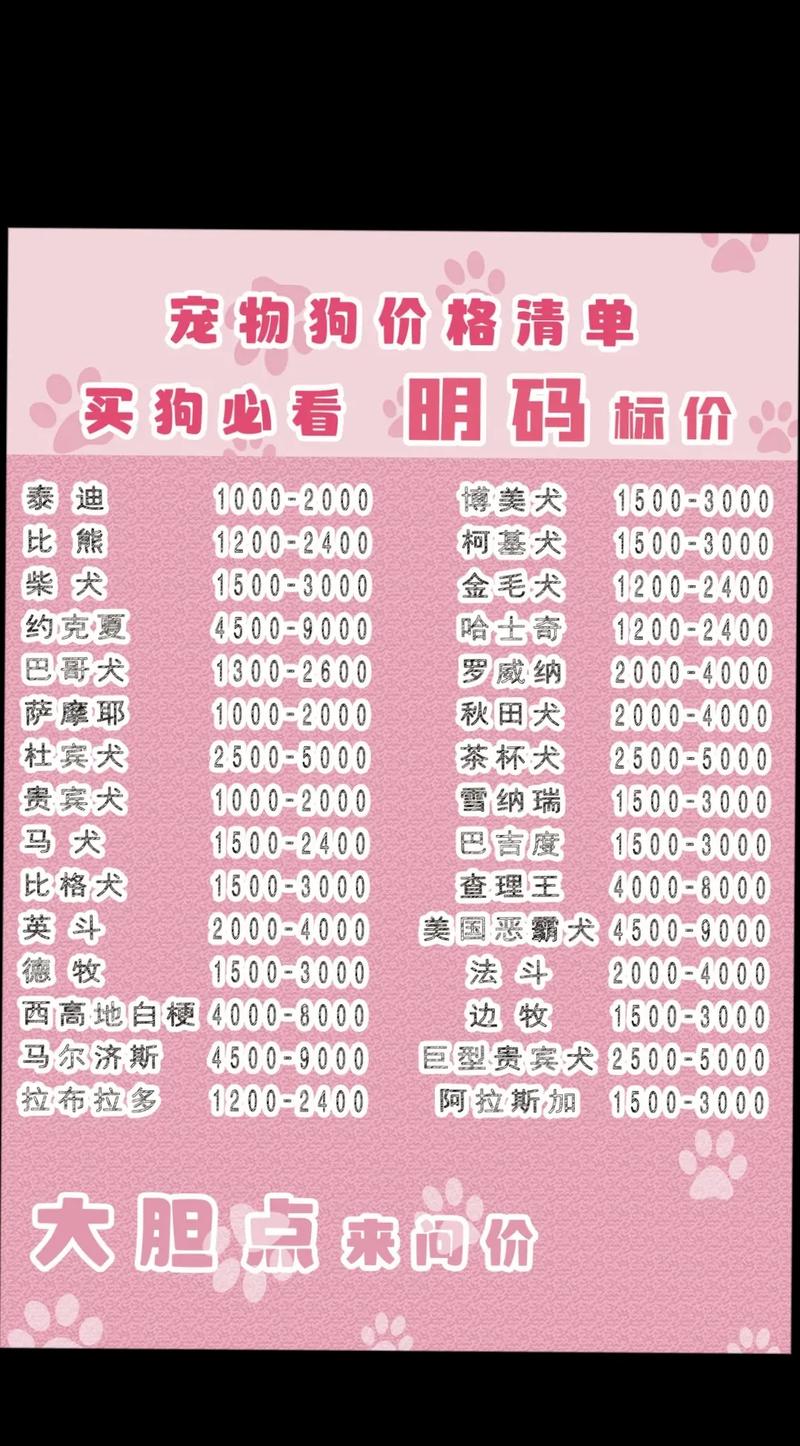 柯基和拉布拉多哪个贵,柯基和拉布拉多哪个贵一点-第8张图片 柯基和拉布拉多哪个贵,柯基和拉布拉多哪个贵一点-第8张图片