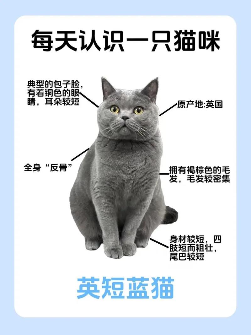 作为消费者“猫可以喝牛奶吗”你不能不知道-第7张图片 作为消费者“猫可以喝牛奶吗”你不能不知道-第7张图片