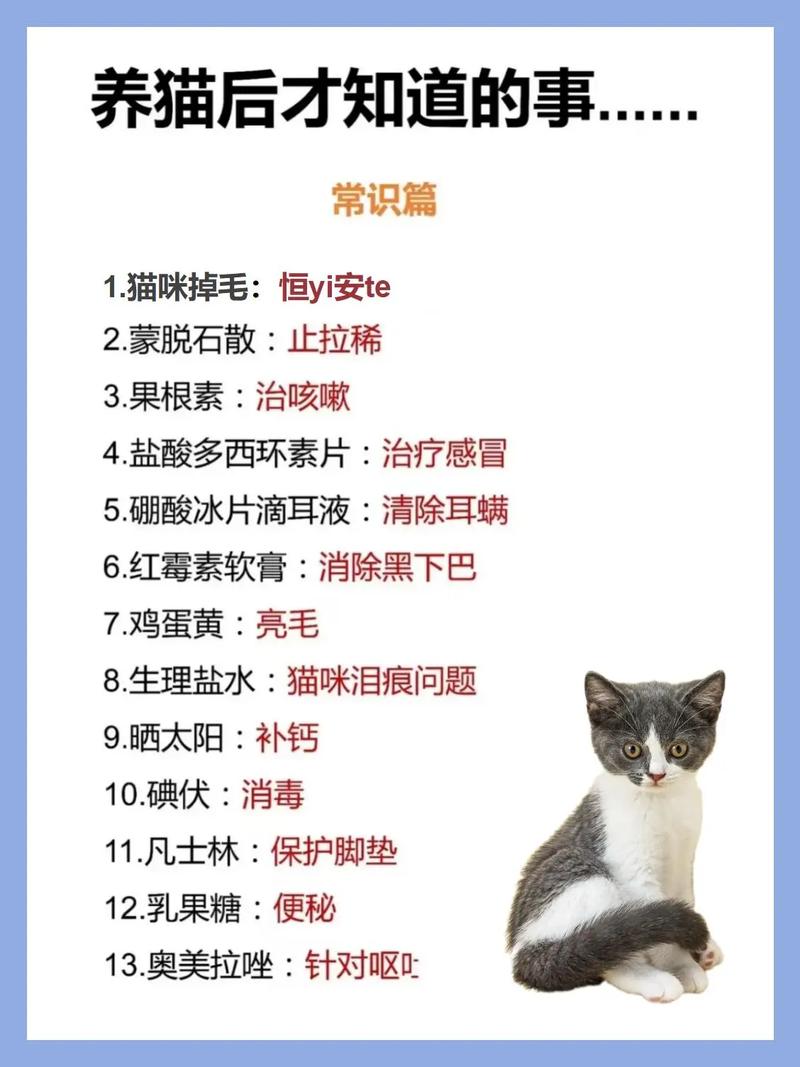 解析“猫食欲不振掉毛”你不知道的事-第1张图片 解析“猫食欲不振掉毛”你不知道的事-第1张图片