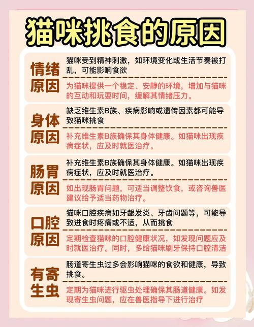 解析“猫食欲不振掉毛”你不知道的事-第4张图片 解析“猫食欲不振掉毛”你不知道的事-第4张图片