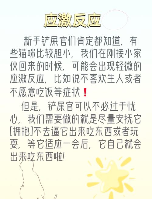 解析“猫食欲不振掉毛”你不知道的事-第5张图片 解析“猫食欲不振掉毛”你不知道的事-第5张图片