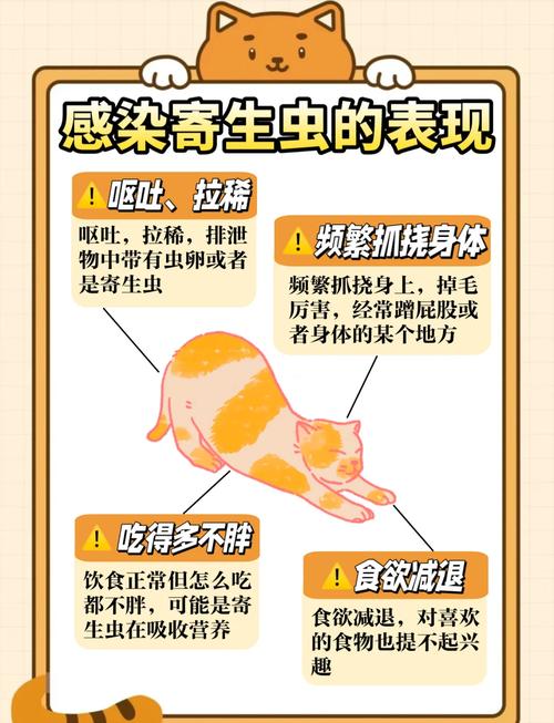 解析“猫食欲不振掉毛”你不知道的事-第6张图片 解析“猫食欲不振掉毛”你不知道的事-第6张图片