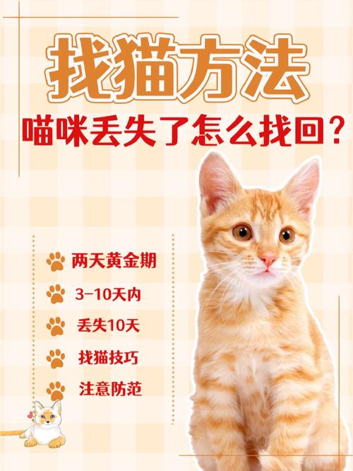 寻找小猫咪,寻找小猫咪游戏-第1张图片 寻找小猫咪,寻找小猫咪游戏-第1张图片