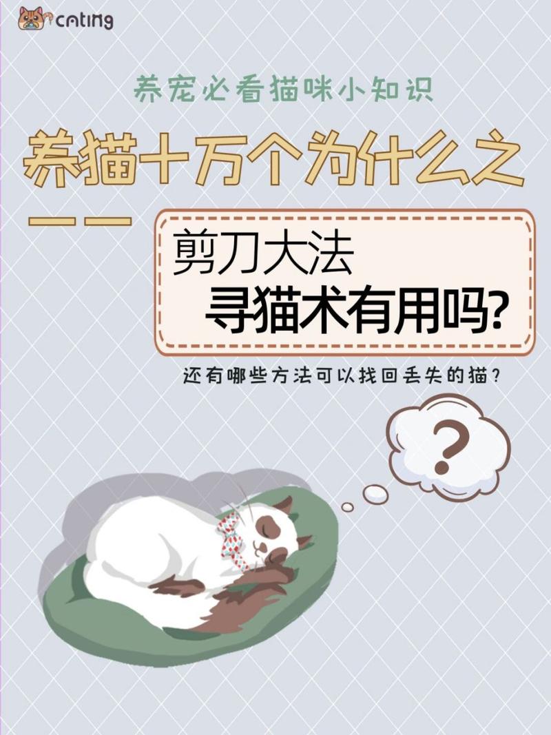 寻找小猫咪,寻找小猫咪游戏-第2张图片 寻找小猫咪,寻找小猫咪游戏-第2张图片