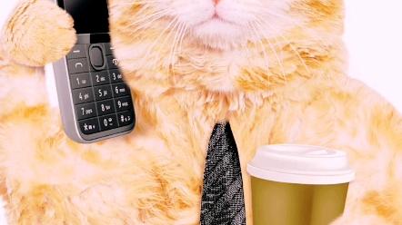 寻找小猫咪,寻找小猫咪游戏-第9张图片 寻找小猫咪,寻找小猫咪游戏-第9张图片