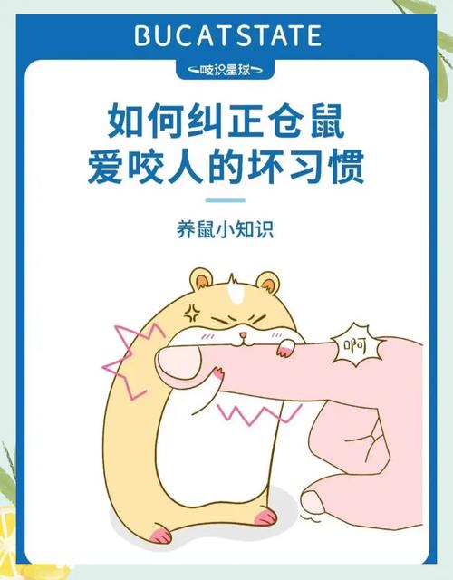 仓鼠会不会咬人,仓鼠会不会咬人,咬人会不会中毒-第1张图片 仓鼠会不会咬人,仓鼠会不会咬人,咬人会不会中毒-第1张图片