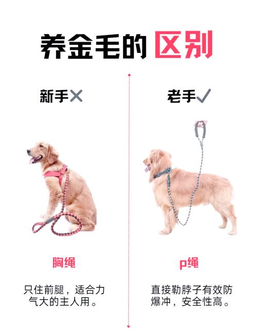 作为消费者“狗狗可以吃鸡架吗”你不能不知道-第6张图片 作为消费者“狗狗可以吃鸡架吗”你不能不知道-第6张图片