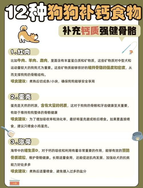 解析“狗狗几个月补钙比较好”你不知道的事-第1张图片 解析“狗狗几个月补钙比较好”你不知道的事-第1张图片