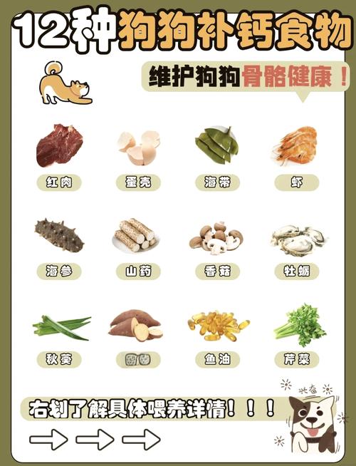 解析“狗狗几个月补钙比较好”你不知道的事-第2张图片 解析“狗狗几个月补钙比较好”你不知道的事-第2张图片