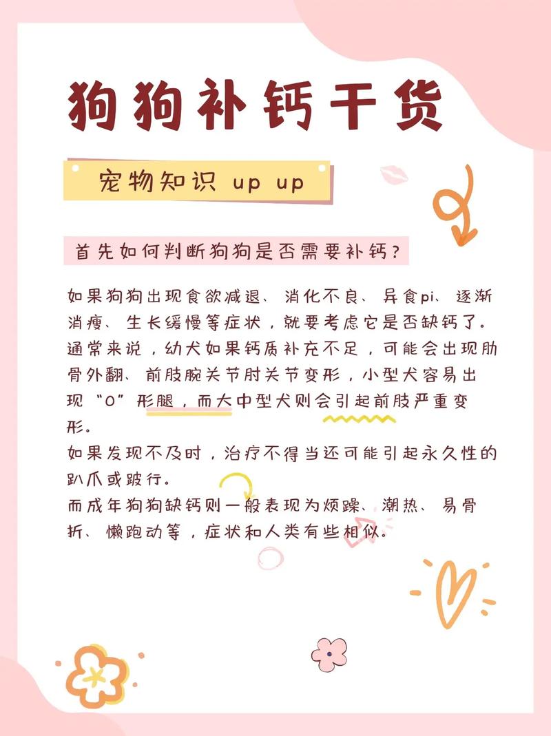 解析“狗狗几个月补钙比较好”你不知道的事-第4张图片 解析“狗狗几个月补钙比较好”你不知道的事-第4张图片
