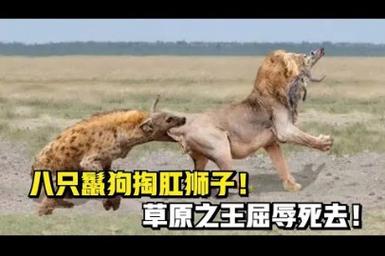 掏肛,掏肛2第二部叫什么名字-第5张图片 掏肛,掏肛2第二部叫什么名字-第5张图片