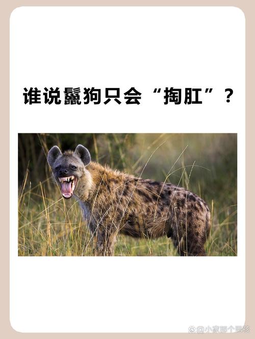 掏肛,掏肛2第二部叫什么名字-第7张图片 掏肛,掏肛2第二部叫什么名字-第7张图片
