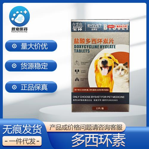 狗狗能吃人的感冒药吗-小狗狗感冒了吃什么药-第6张图片 狗狗能吃人的感冒药吗-小狗狗感冒了吃什么药-第6张图片