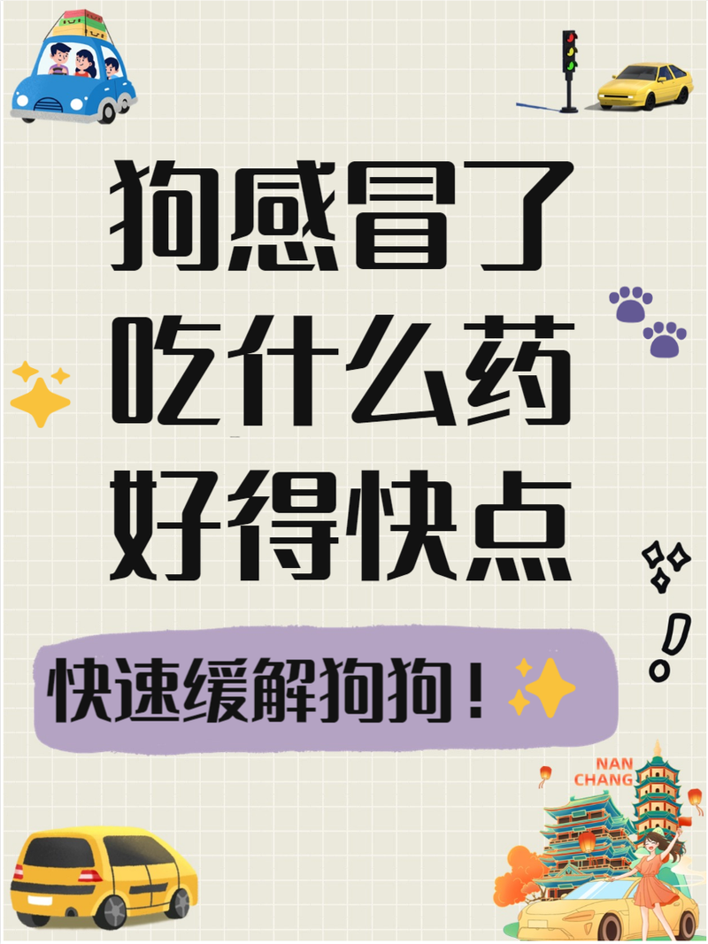 狗狗能吃人的感冒药吗-小狗狗感冒了吃什么药-第7张图片 狗狗能吃人的感冒药吗-小狗狗感冒了吃什么药-第7张图片