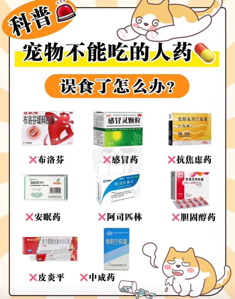 狗狗能吃人的感冒药吗-小狗狗感冒了吃什么药-第8张图片 狗狗能吃人的感冒药吗-小狗狗感冒了吃什么药-第8张图片