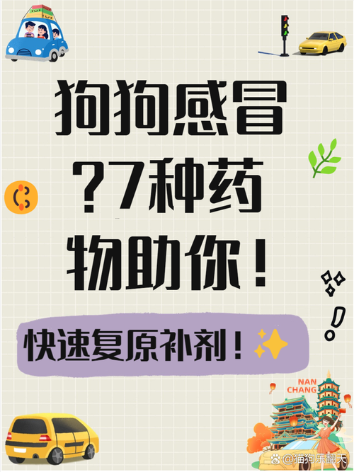 狗狗能吃人的感冒药吗-小狗狗感冒了吃什么药-第9张图片 狗狗能吃人的感冒药吗-小狗狗感冒了吃什么药-第9张图片