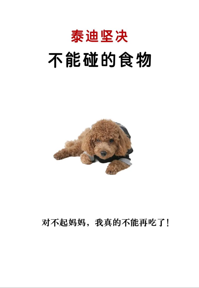 小狗可以吃豆腐吗-狗狗不能食用豆腐的原因-第6张图片 小狗可以吃豆腐吗-狗狗不能食用豆腐的原因-第6张图片