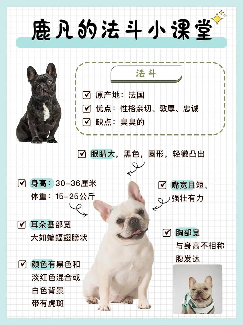 解析“比特犬和斗牛犬的决斗”你不知道的事-第7张图片 解析“比特犬和斗牛犬的决斗”你不知道的事-第7张图片