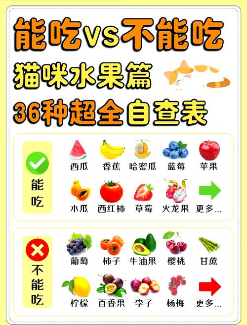 作为消费者“小猫可以吃芒果吗”你不能不知道-第1张图片 作为消费者“小猫可以吃芒果吗”你不能不知道-第1张图片