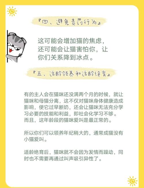 猫咪爱叫唤是怎么了,猫咪爱叫咋办-第1张图片 猫咪爱叫唤是怎么了,猫咪爱叫咋办-第1张图片