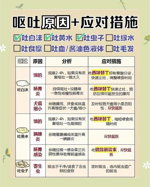 狗呕吐-狗呕吐吃什么药-第6张图片 狗呕吐-狗呕吐吃什么药-第6张图片