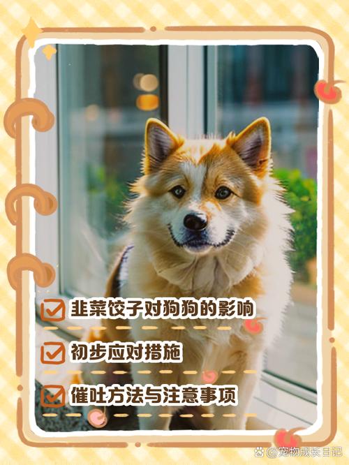狗能吃韭菜吗,狗能吃韭菜吗呕吐怎么办-第3张图片 狗能吃韭菜吗,狗能吃韭菜吗呕吐怎么办-第3张图片
