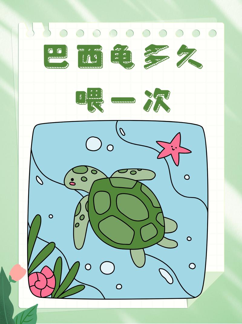 巴西龟几天喂一次,巴西龟几天喂一次食物一次喂多少-第1张图片 巴西龟几天喂一次,巴西龟几天喂一次食物一次喂多少-第1张图片