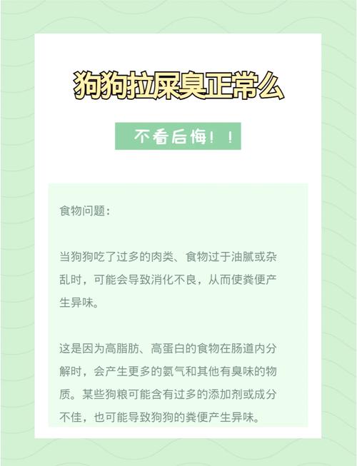 狗狗拉稀像泥浆怎么办-狗狗拉稀泥浆一样-第4张图片 狗狗拉稀像泥浆怎么办-狗狗拉稀泥浆一样-第4张图片