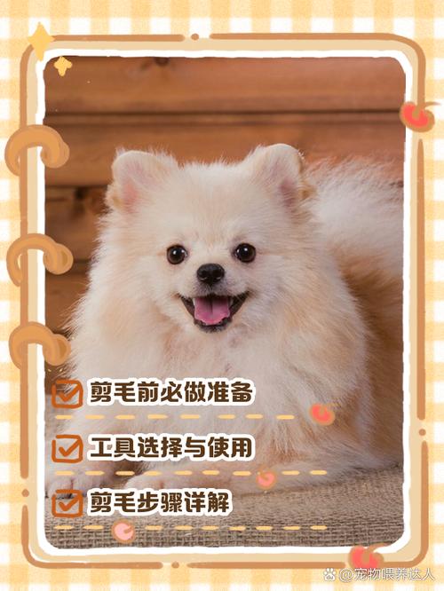 自己怎么给狗狗剪毛,如何自己给狗狗剃毛-第7张图片 自己怎么给狗狗剪毛,如何自己给狗狗剃毛-第7张图片