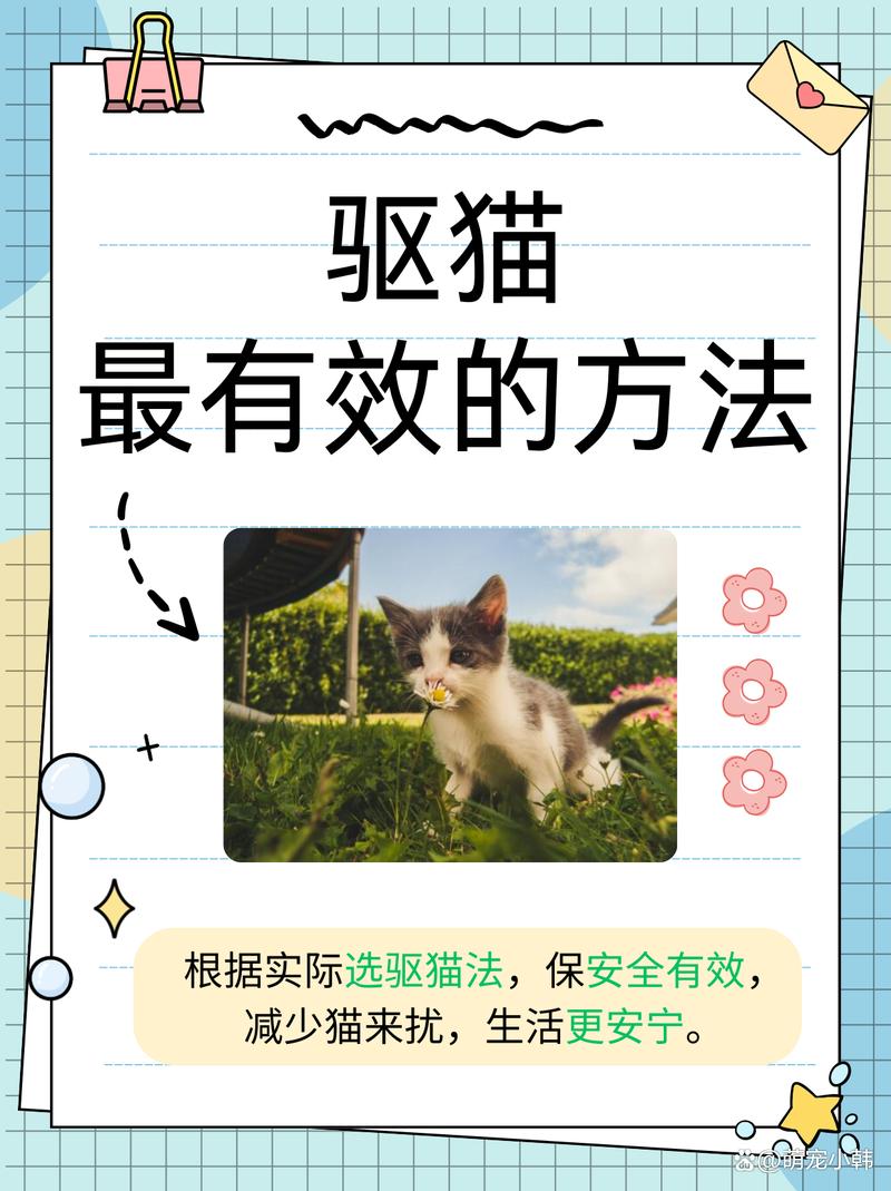 猫冠状病毒,猫冠状病毒吃什么治疗-第1张图片 猫冠状病毒,猫冠状病毒吃什么治疗-第1张图片