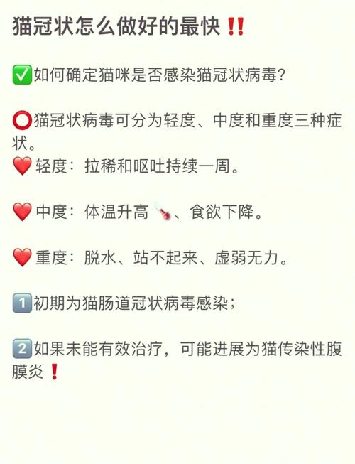 猫冠状病毒,猫冠状病毒吃什么治疗-第2张图片 猫冠状病毒,猫冠状病毒吃什么治疗-第2张图片