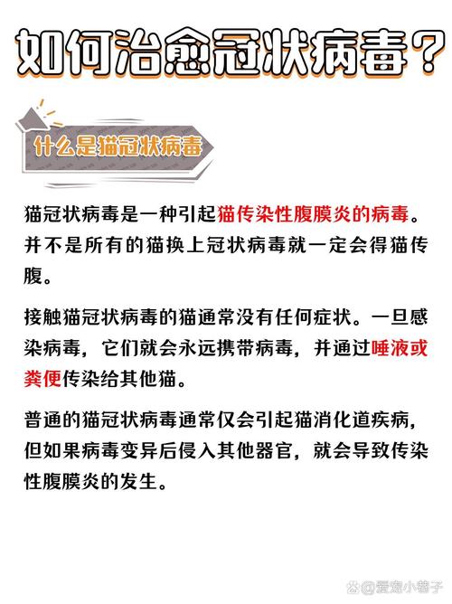 猫冠状病毒,猫冠状病毒吃什么治疗-第3张图片 猫冠状病毒,猫冠状病毒吃什么治疗-第3张图片