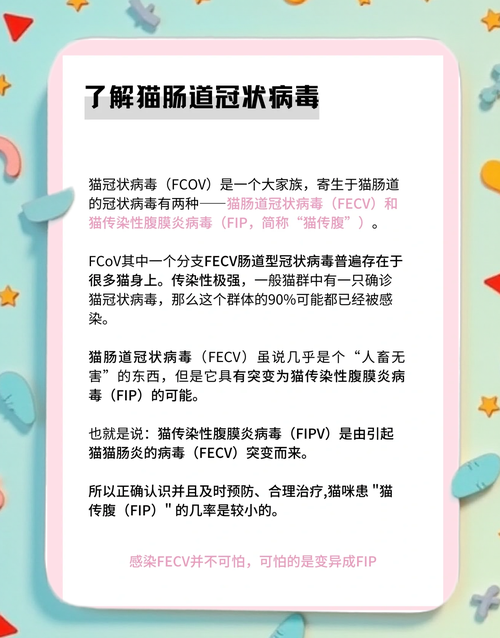 猫冠状病毒,猫冠状病毒吃什么治疗-第6张图片 猫冠状病毒,猫冠状病毒吃什么治疗-第6张图片