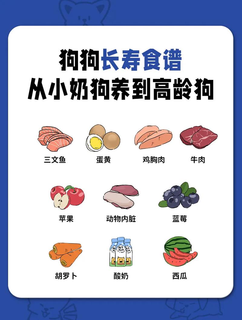 作为消费者“狗狗吃什么能长胖”你不能不知道-第4张图片 作为消费者“狗狗吃什么能长胖”你不能不知道-第4张图片