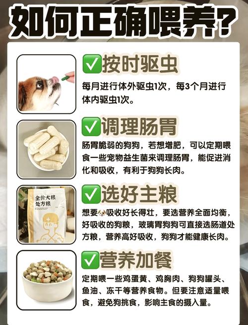 作为消费者“狗狗吃什么能长胖”你不能不知道-第5张图片 作为消费者“狗狗吃什么能长胖”你不能不知道-第5张图片