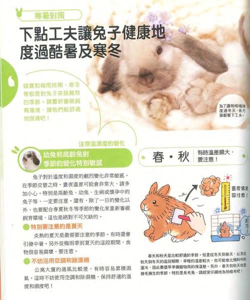 解析“兔子什么时候换毛”你不知道的事-第2张图片 解析“兔子什么时候换毛”你不知道的事-第2张图片