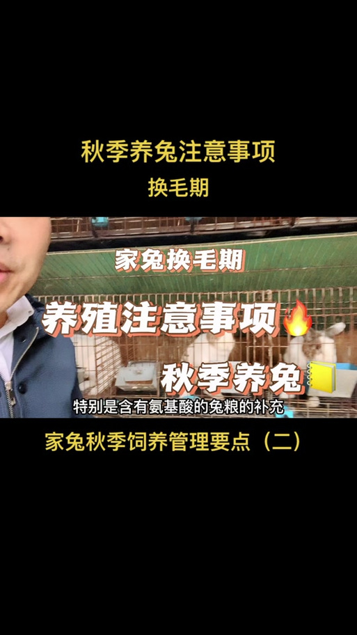 解析“兔子什么时候换毛”你不知道的事-第3张图片 解析“兔子什么时候换毛”你不知道的事-第3张图片