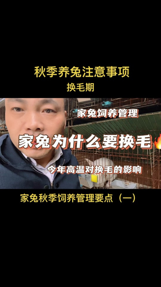 解析“兔子什么时候换毛”你不知道的事-第6张图片 解析“兔子什么时候换毛”你不知道的事-第6张图片