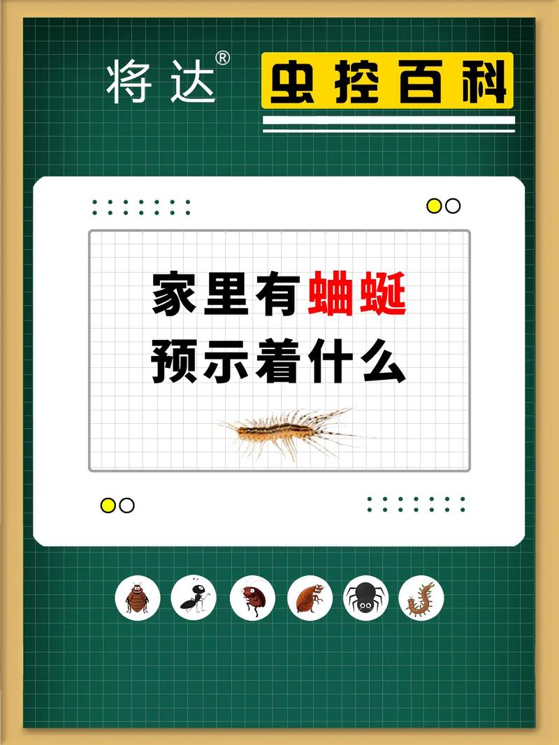 蛐蛐一直叫什么预兆,蛐蛐一直叫不累吗-第4张图片 蛐蛐一直叫什么预兆,蛐蛐一直叫不累吗-第4张图片