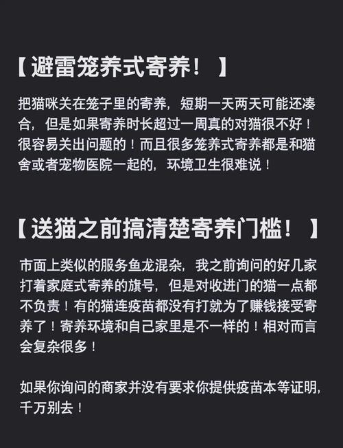 寄养猫咪一天多少钱/寄养猫咪多少钱一个月-第3张图片 寄养猫咪一天多少钱/寄养猫咪多少钱一个月-第3张图片